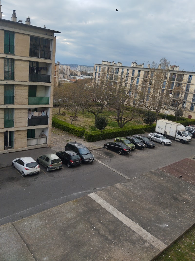 Les marronniers