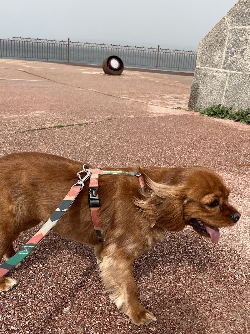 Le Chien Botté Toiletteur Marseille 13007