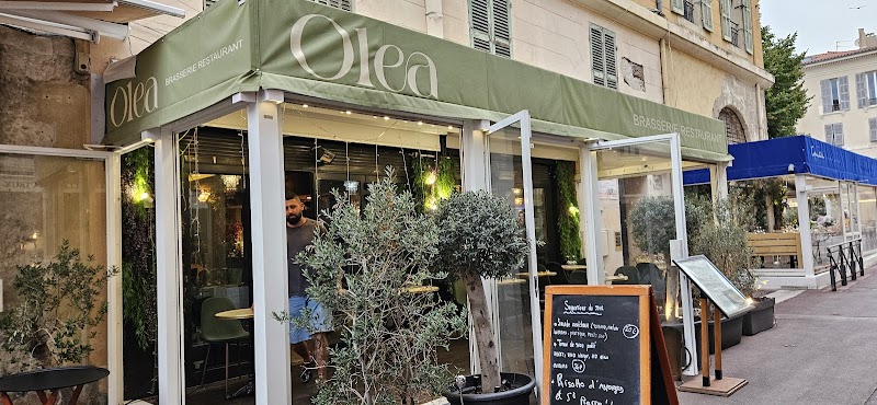 Olea