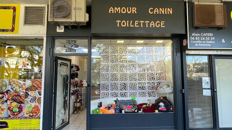 Amour Canin