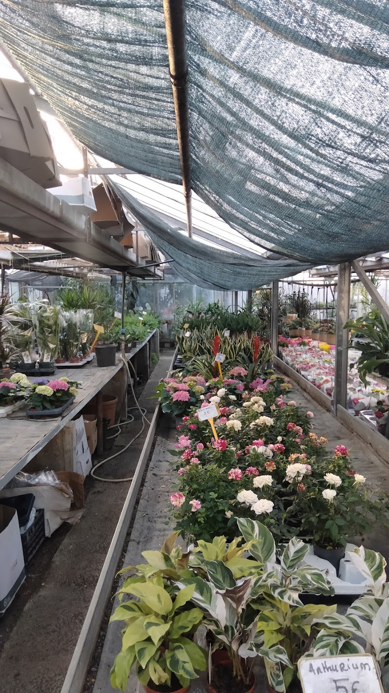 Horti-Flore